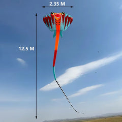 12.5M 3D 2-color Ray Soft Kite Outdoor Beach Professional Kites Umbrella Cloth Waterproof and Tear Resistant Inflatable Kite