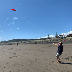 Large 250cm sports kites flying dual line power kites outdoor toys beach kite board wind kites toys kitesurfing ripstop nylon