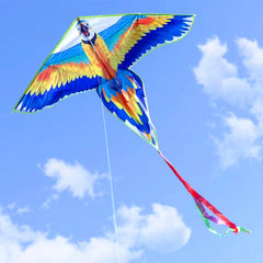 Adults kites flying outdoor toys ripstop nylon kites factory dragon kites line Outdoor toys beach kites comet koi for fun play