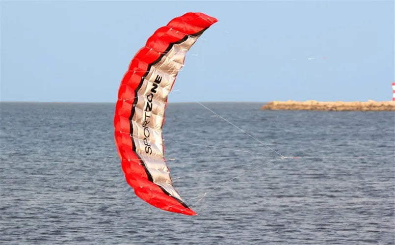 2.5 Meter Novelty Dual Line Flying Kite Parafoil Sports Software Paragliding Nylon Beach Kite Stunt Outdoor Toys For Adult Kids