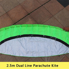 2.5 Meter Novelty Dual Line Flying Kite Parafoil Sports Software Paragliding Nylon Beach Kite Stunt Outdoor Toys For Adult Kids
