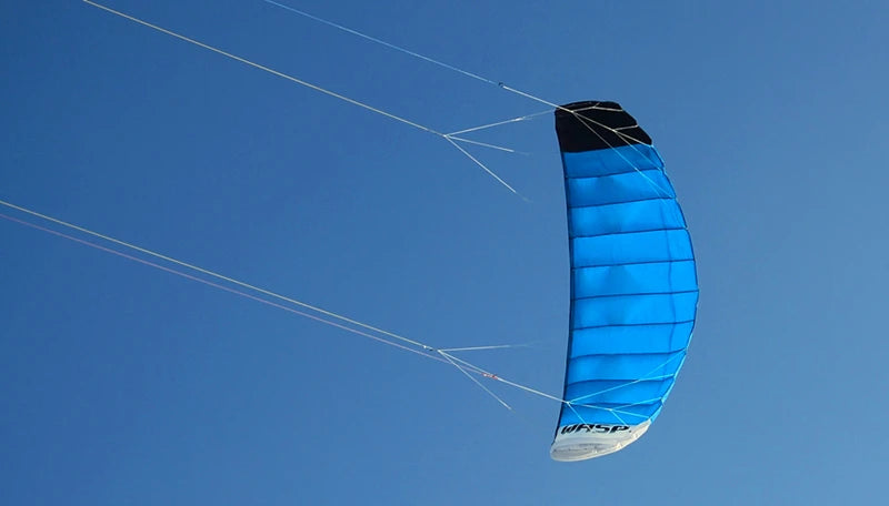 Parachute giant kites quad line power kites wasp kites paraglider kiteboard kitesurfing adult giant kite toy sport Kite flying