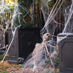 Halloween Decoration Spider Web,Artificial Cobweb,Stretchy Cobweb With Spider,Horror Gothic Haunted House Home Decor