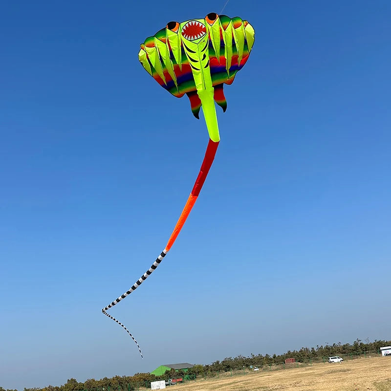 12.5M 3D Soft Ray Kite 9 Air Inlet Inflatable Large Animal Beach Professional Kites Easy To Fly Anti Tear Packaging Bag Cometas