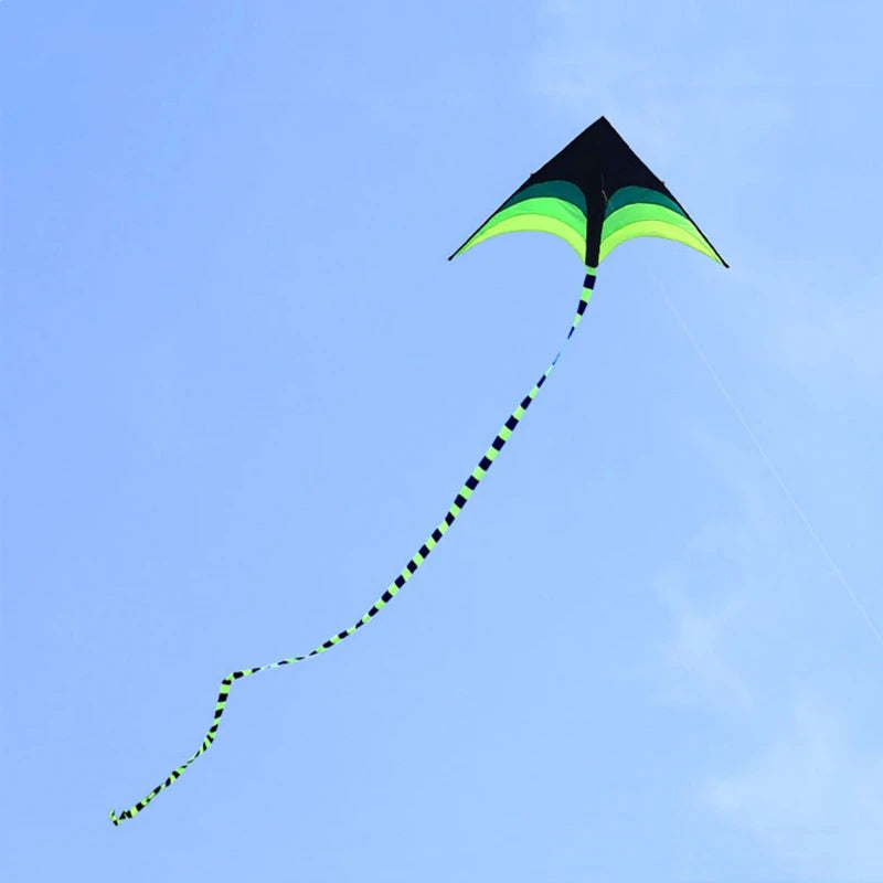 Giant delta kites light breezes fly Weifang's new adult outdoor toy flying professional kite kitesurf kite flies Air bounce fun