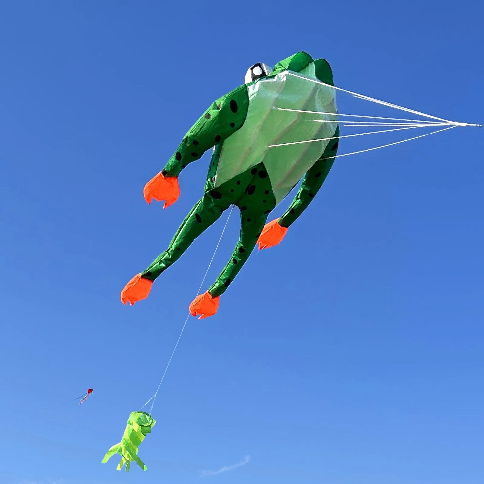 New High-Quality Huge 71Inch Single Line Frog Sports Beach Kite  Factory Outlet  Good Flying