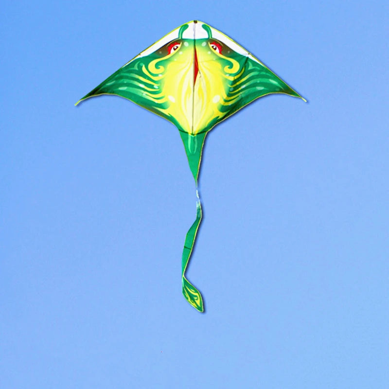 Adults kites flying outdoor toys ripstop nylon kites factory dragon kites line Outdoor toys beach kites comet koi for fun play