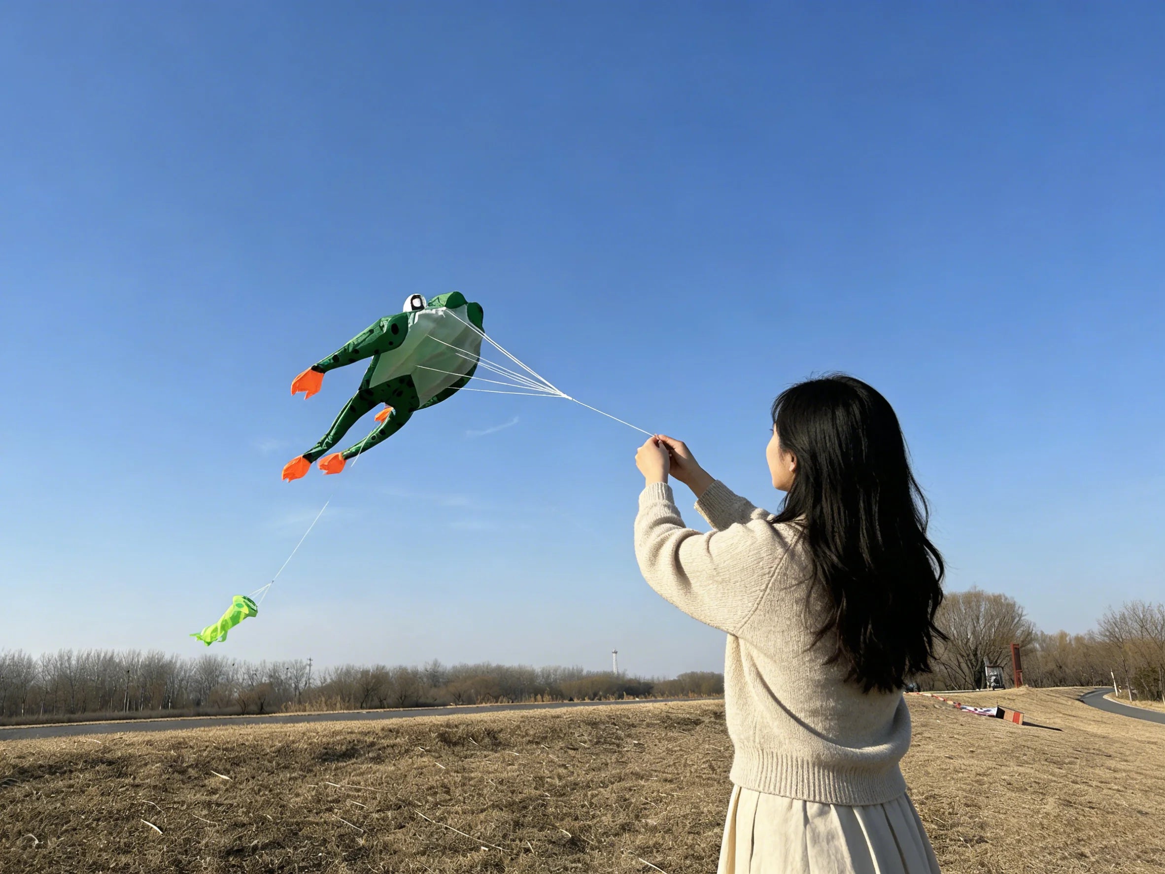 New High-Quality Huge 71Inch Single Line Frog Sports Beach Kite  Factory Outlet  Good Flying