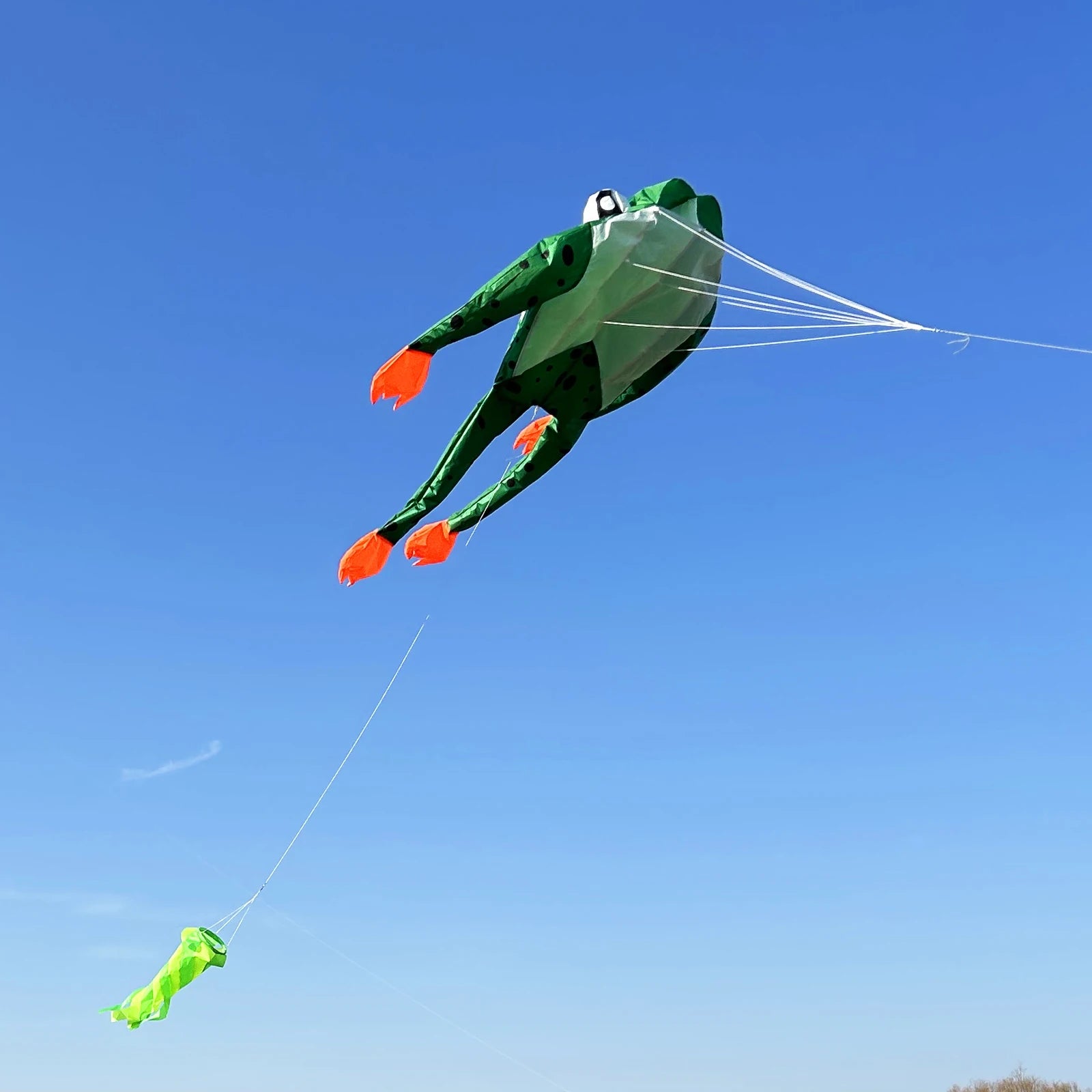 New High-Quality Huge 71Inch Single Line Frog Sports Beach Kite  Factory Outlet  Good Flying