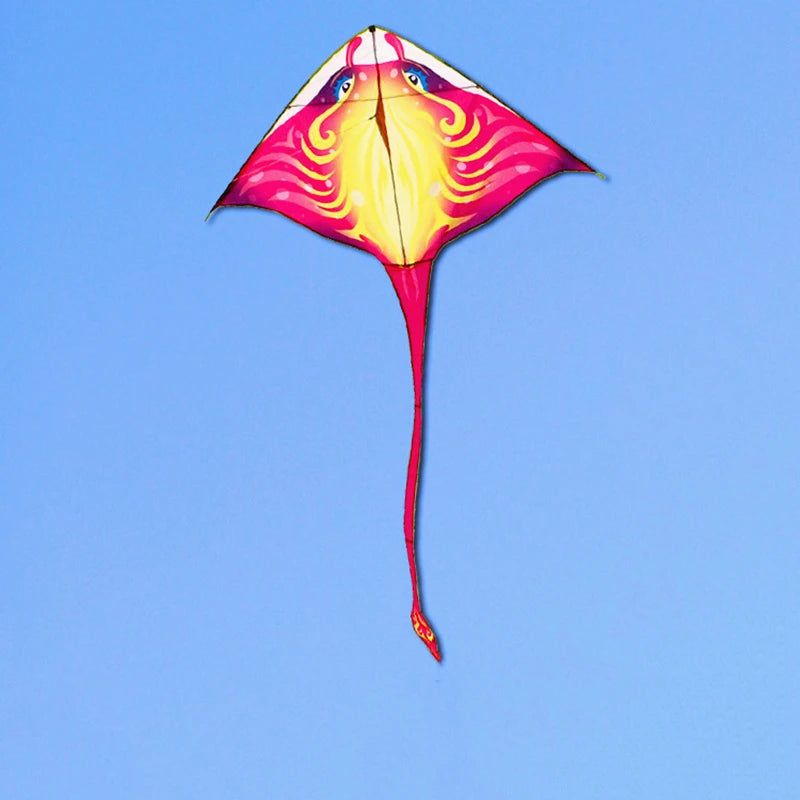 Adults kites flying outdoor toys ripstop nylon kites factory dragon kites line Outdoor toys beach kites comet koi for fun play