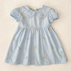 Summer New Little Girls Toddler Princess Dresses 1-6Yrs Girls Fashion Embroidered Flower Dress Kids Flying Sleeves Party Clothes
