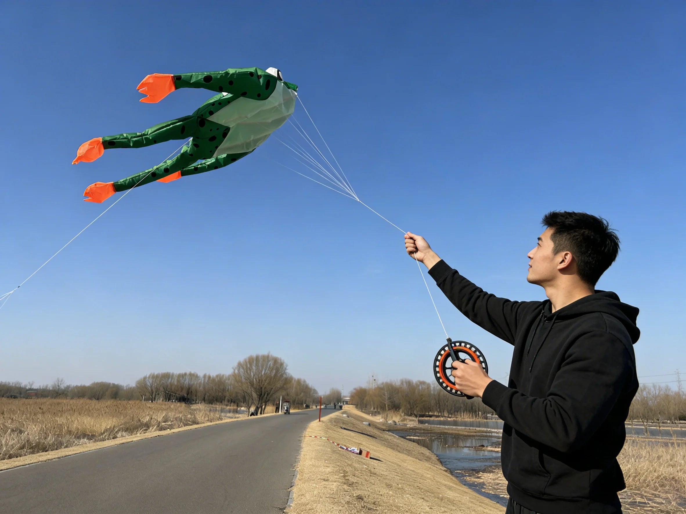 New High-Quality Huge 71Inch Single Line Frog Sports Beach Kite  Factory Outlet  Good Flying