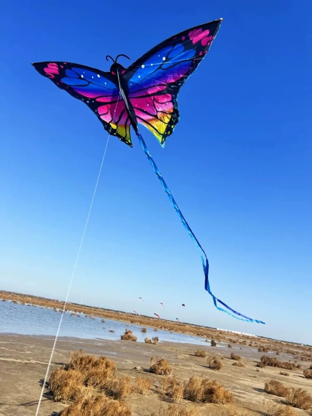 New Easy to Fly Colorful Kite Steering Good Flying 3D Kite Beautiful 100 Meter Kite String Children's Kite Kid & Adult