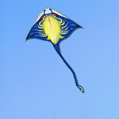 Adults kites flying outdoor toys ripstop nylon kites factory dragon kites line Outdoor toys beach kites comet koi for fun play