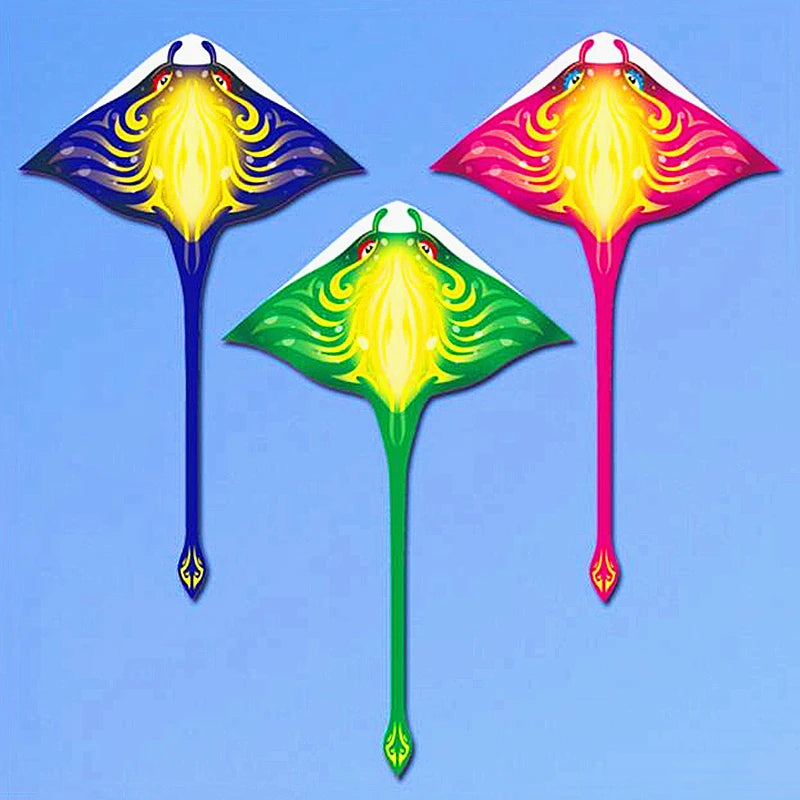Adults kites flying outdoor toys ripstop nylon kites factory dragon kites line Outdoor toys beach kites comet koi for fun play