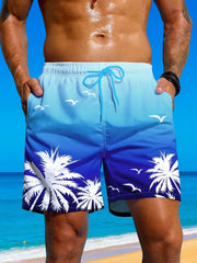 3D Print Sport Quick-dry Breathable Men Summer Hawaiian Vacation Outdoor Street Casual Fashion Beach Short Pants Swimming Trunk