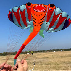 12.5M 3D 2-color Ray Soft Kite Outdoor Beach Professional Kites Umbrella Cloth Waterproof and Tear Resistant Inflatable Kite