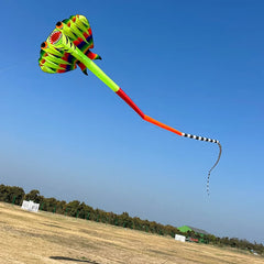 12.5M 3D Soft Ray Kite 9 Air Inlet Inflatable Large Animal Beach Professional Kites Easy To Fly Anti Tear Packaging Bag Cometas