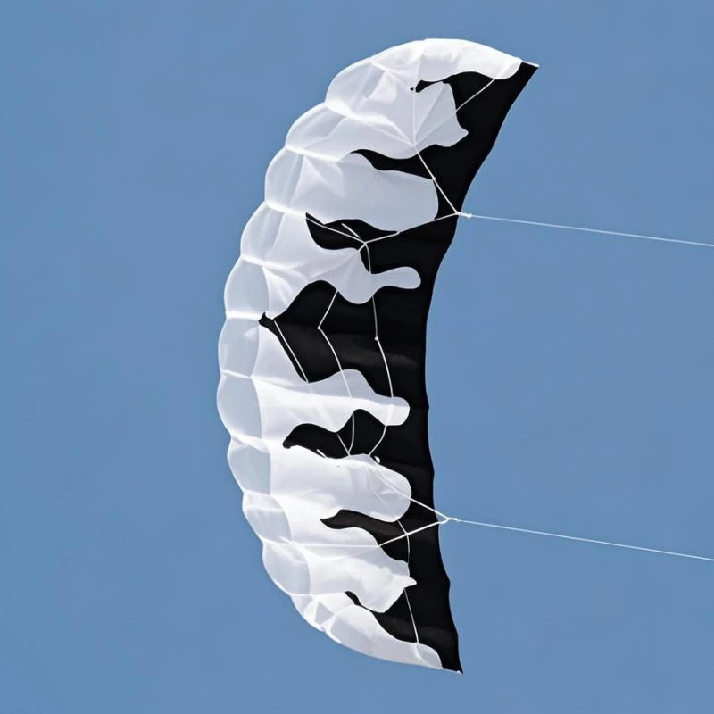 New beginner kitesurf dual Line Stunt power Kite for adults kite parafoil parachute surfing sport kites professional kite serial