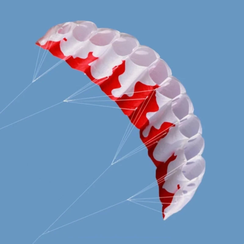 New beginner kitesurf dual Line Stunt power Kite for adults kite parafoil parachute surfing sport kites professional kite serial