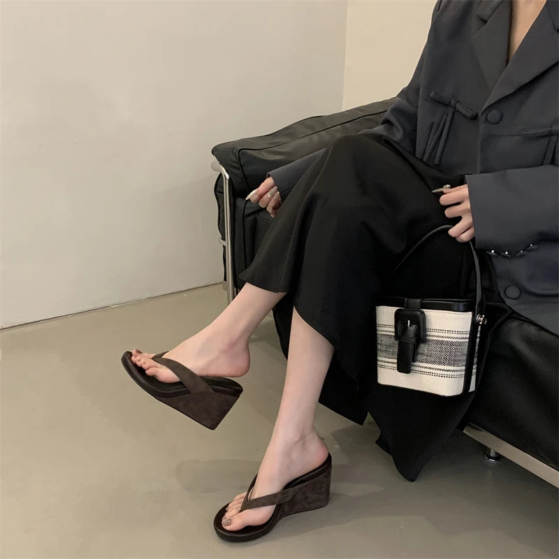Aneikeh Fashion Summer Clip Toe Platform Wedges Women Slippers  Thick High Heels Beach Flip Flops Slide Shoes 2026
